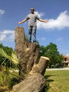 Precision 1 Tree Services Logo