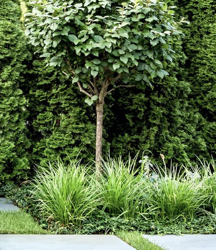 Top-rated landscape installation in Herndon, VA by Precision Arborscapes