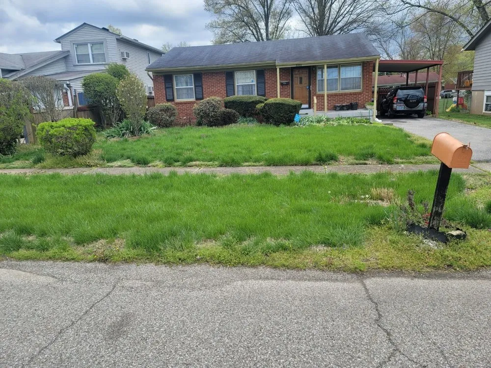 Top-rated residential landscaping in Louisville, KY by Precision Cleaning and Landscape Services