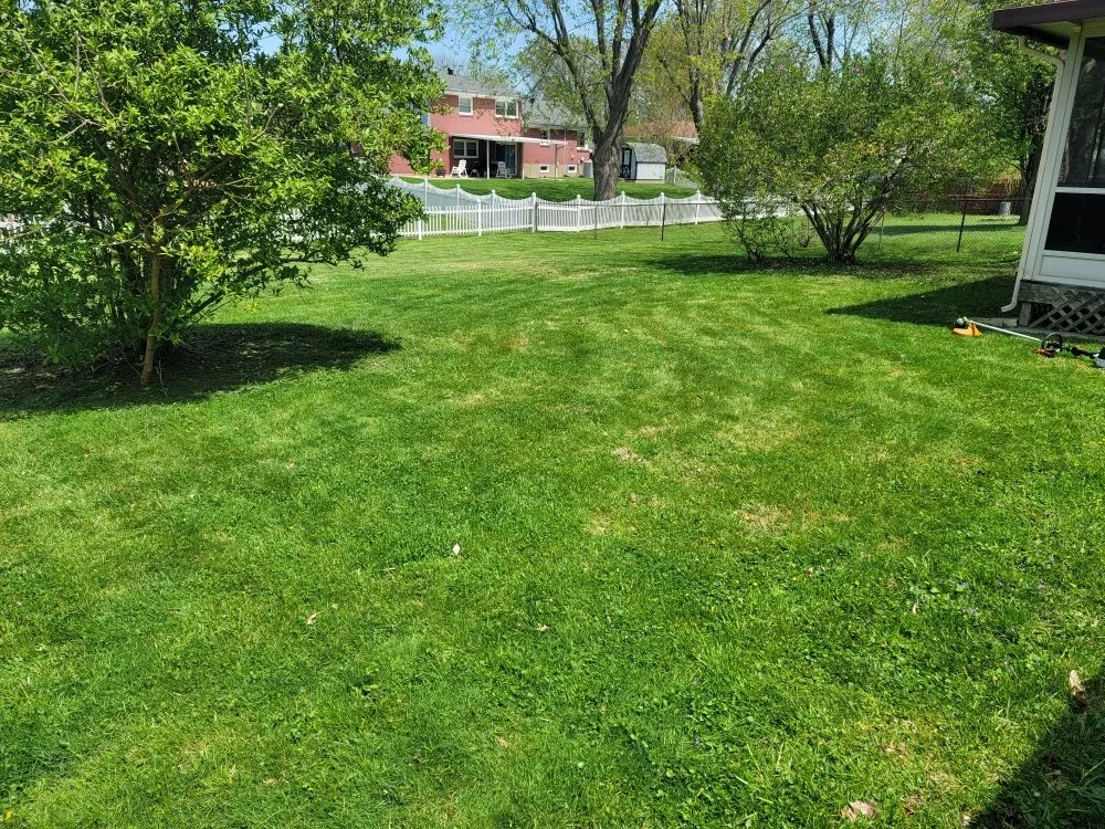 Affordable outdoor landscaping near you in Louisville, KY by Precision Cleaning and Landscape Services