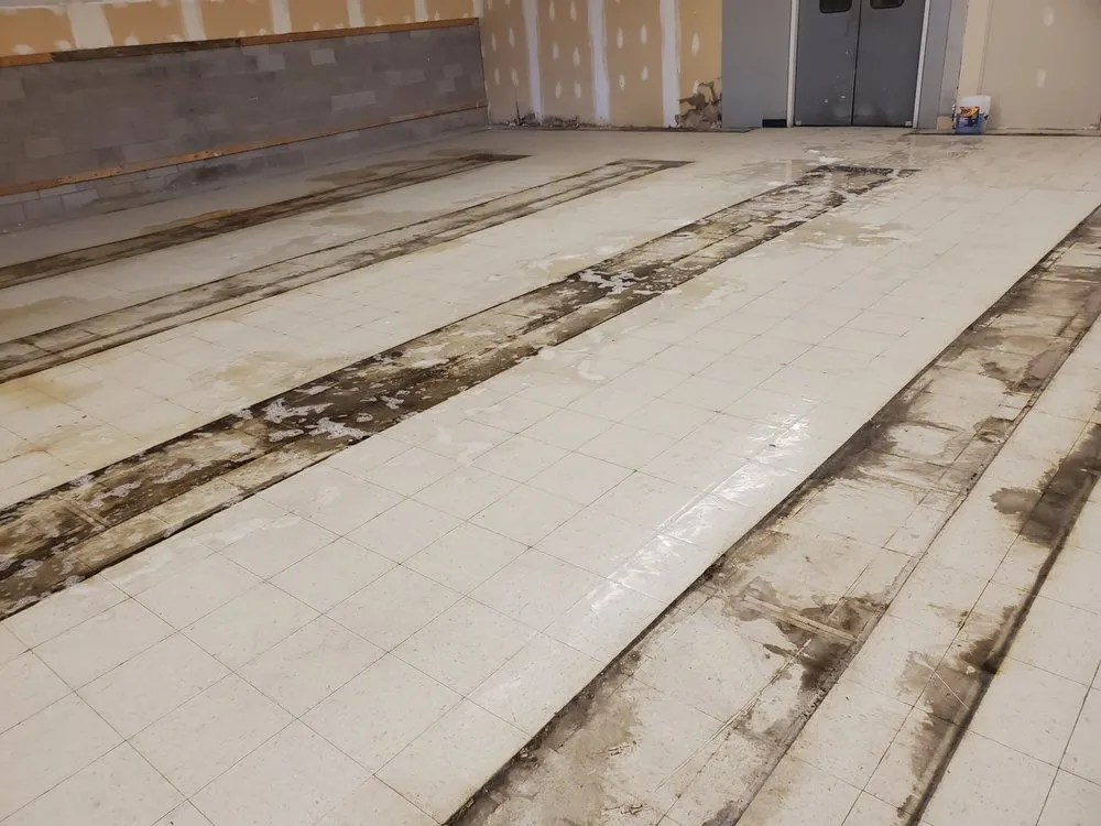 Affordable lawn mowing service in Louisville, KY by Precision Cleaning and Landscape Services