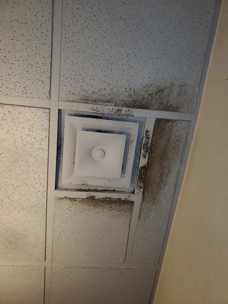 Reliable landscape design for beautiful yards across Louisville, KY - Precision Cleaning and Landscape Services