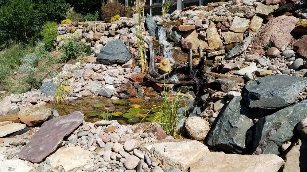 Professional lawn care service for beautiful yards across Colorado Springs, CO - Precision Construction Services