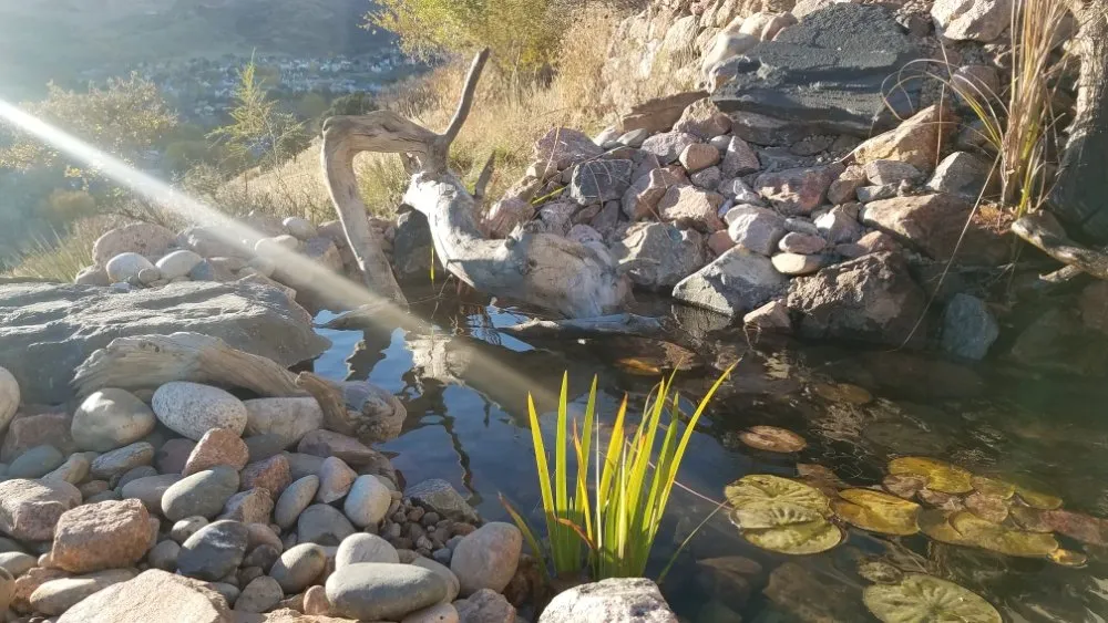 Professional garden landscaping for homes in Colorado Springs, CO by Precision Construction Services