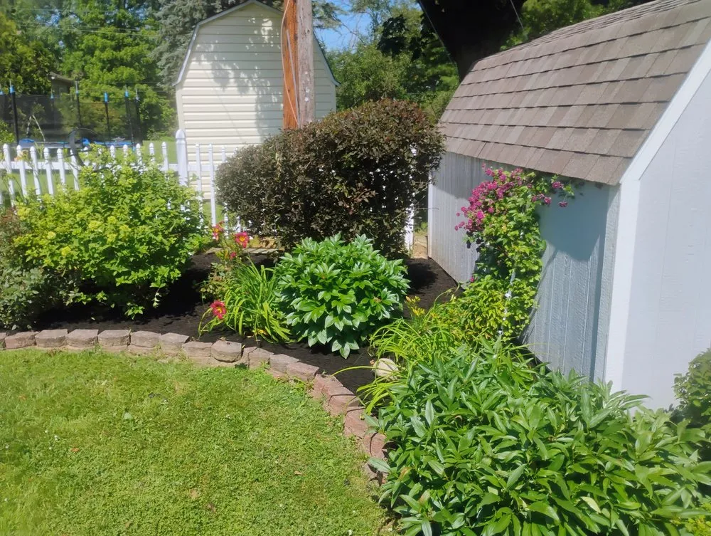Expert residential landscaping for beautiful yards across Richmond, IN - Precision Cut & Clean