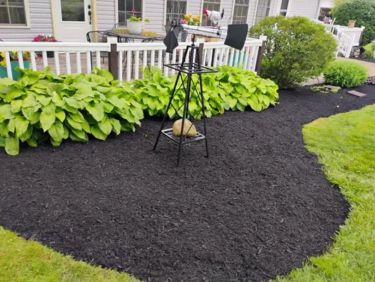 Precision Cut & Clean Logo