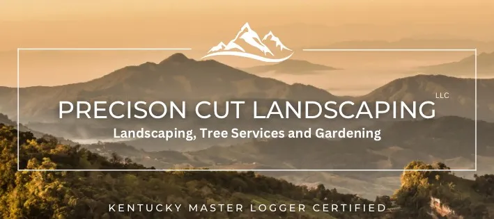 Trusted landscape design experts serving Scottsville, KY - Precision Cut Landscaping