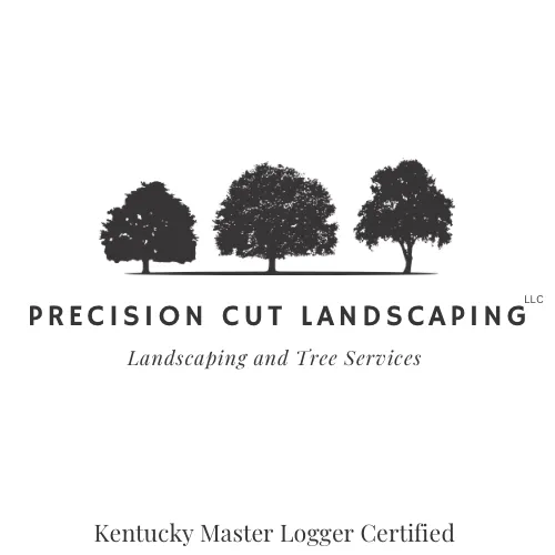 Professional lawn care service experts serving Scottsville, KY - Precision Cut Landscaping