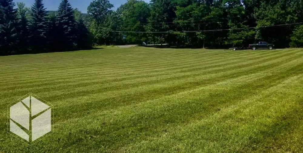 Expert landscaping services for beautiful yards in Milford, NY by Precision Cut