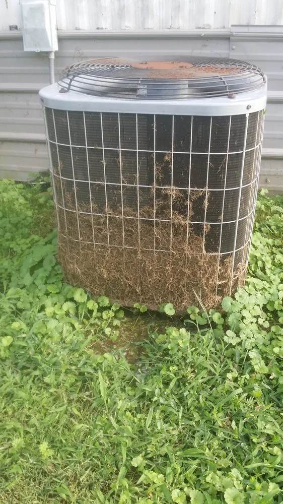 Top-rated lawn mowing service experts serving Elizabethton, TN - Precision Cut Property Management and Landscaping