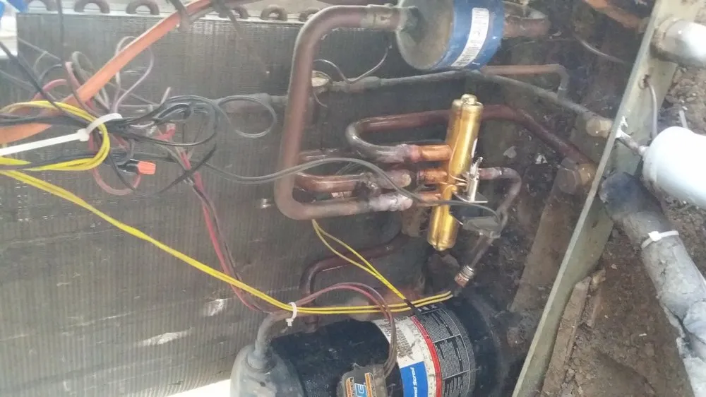 Trusted landscape design for beautiful yards across Elizabethton, TN - Precision Cut Property Management and Landscaping