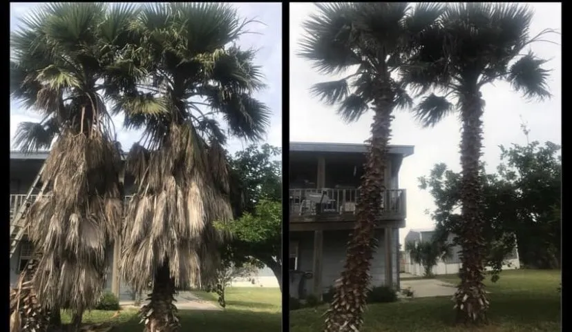 Affordable outdoor landscaping for outdoor upgrades in Aransas Pass, TX by Precision Cuts