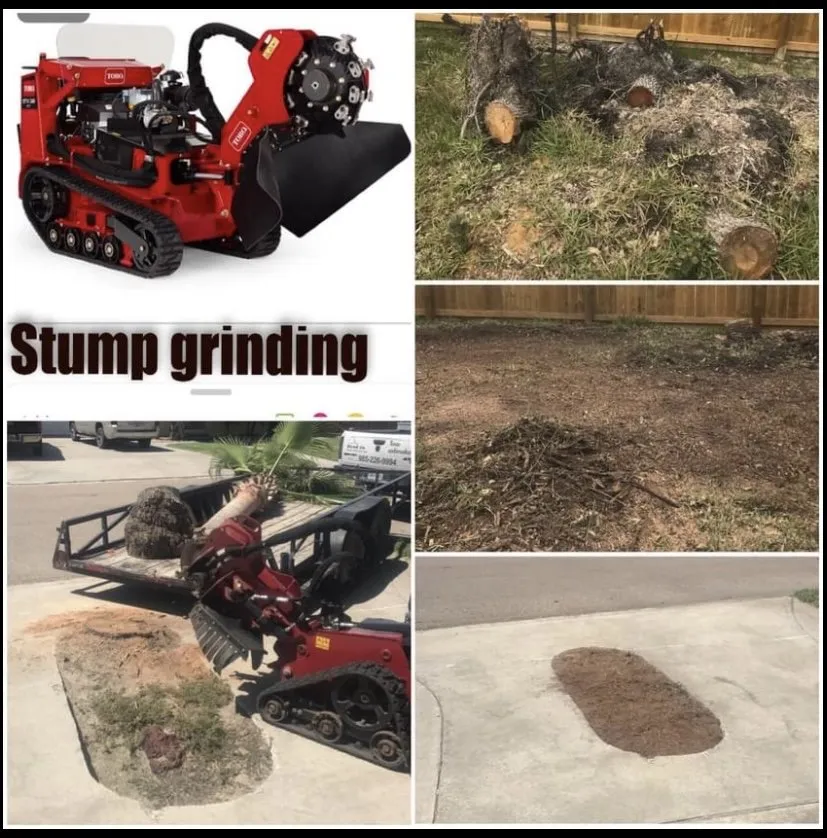 Affordable residential landscaping in Aransas Pass, TX by Precision Cuts