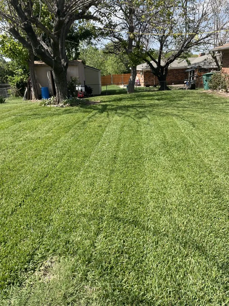 Trusted yard maintenance experts serving Fort Worth, TX - Precision Cuts