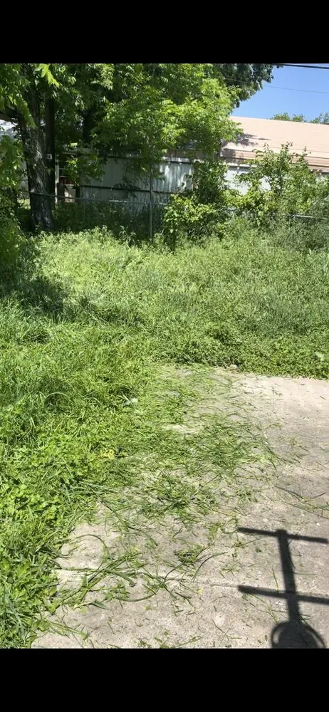 Top-rated garden landscaping in Fort Worth, TX - Precision Cuts