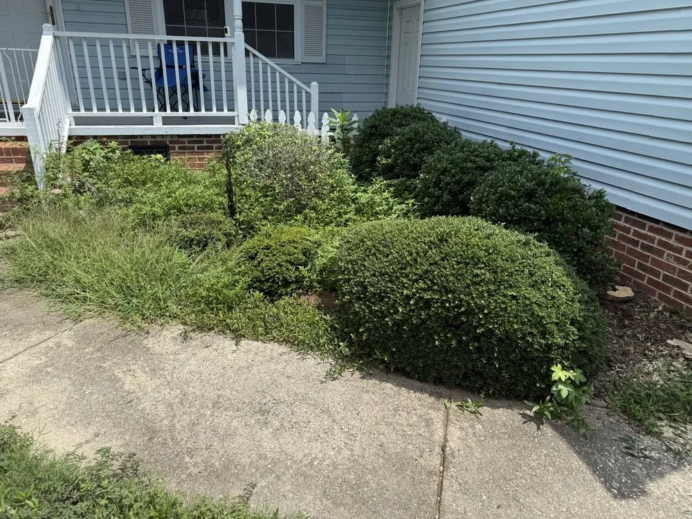 Local garden landscaping in Greenville, SC - Precision Cuts
