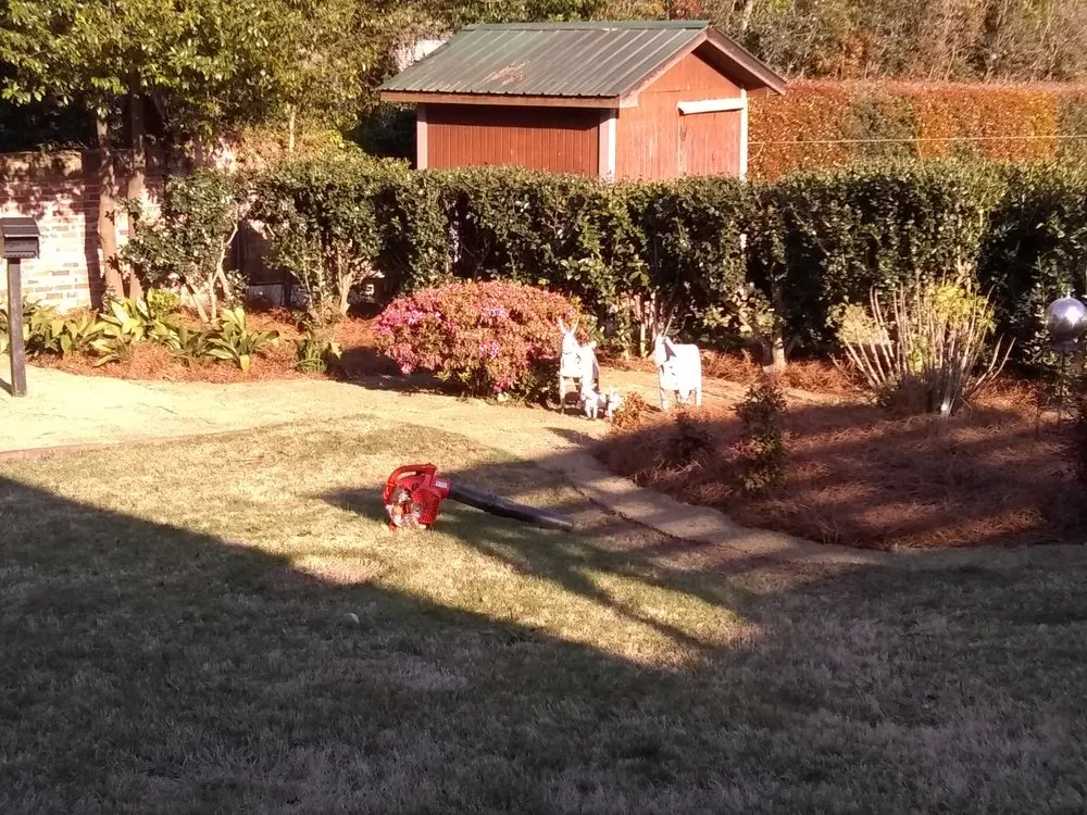 Reliable landscape installation in Buena Vista, GA by precision cuts landscaping