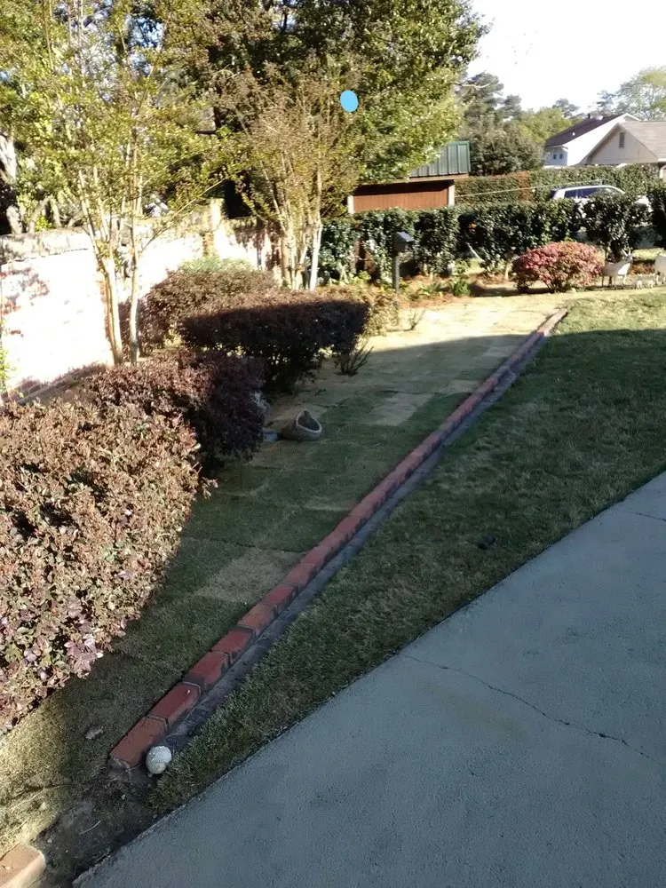 Expert yard maintenance in Buena Vista, GA by precision cuts landscaping