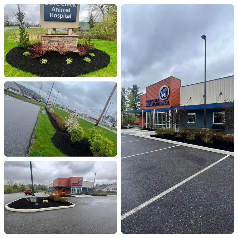 Custom lawn mowing service experts serving Hagaman, NY - Precision Cuts Lawn & Garden