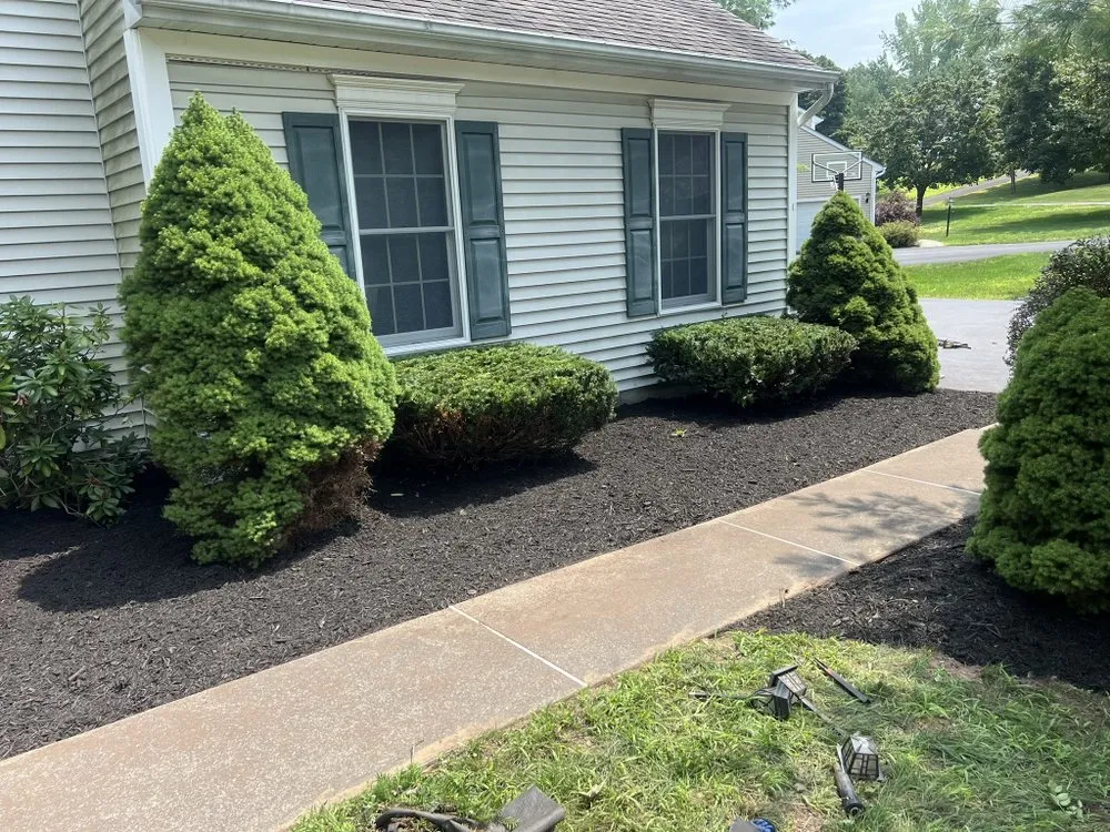 Professional landscaping services for homes across Hagaman, NY - Precision Cuts Lawn & Garden