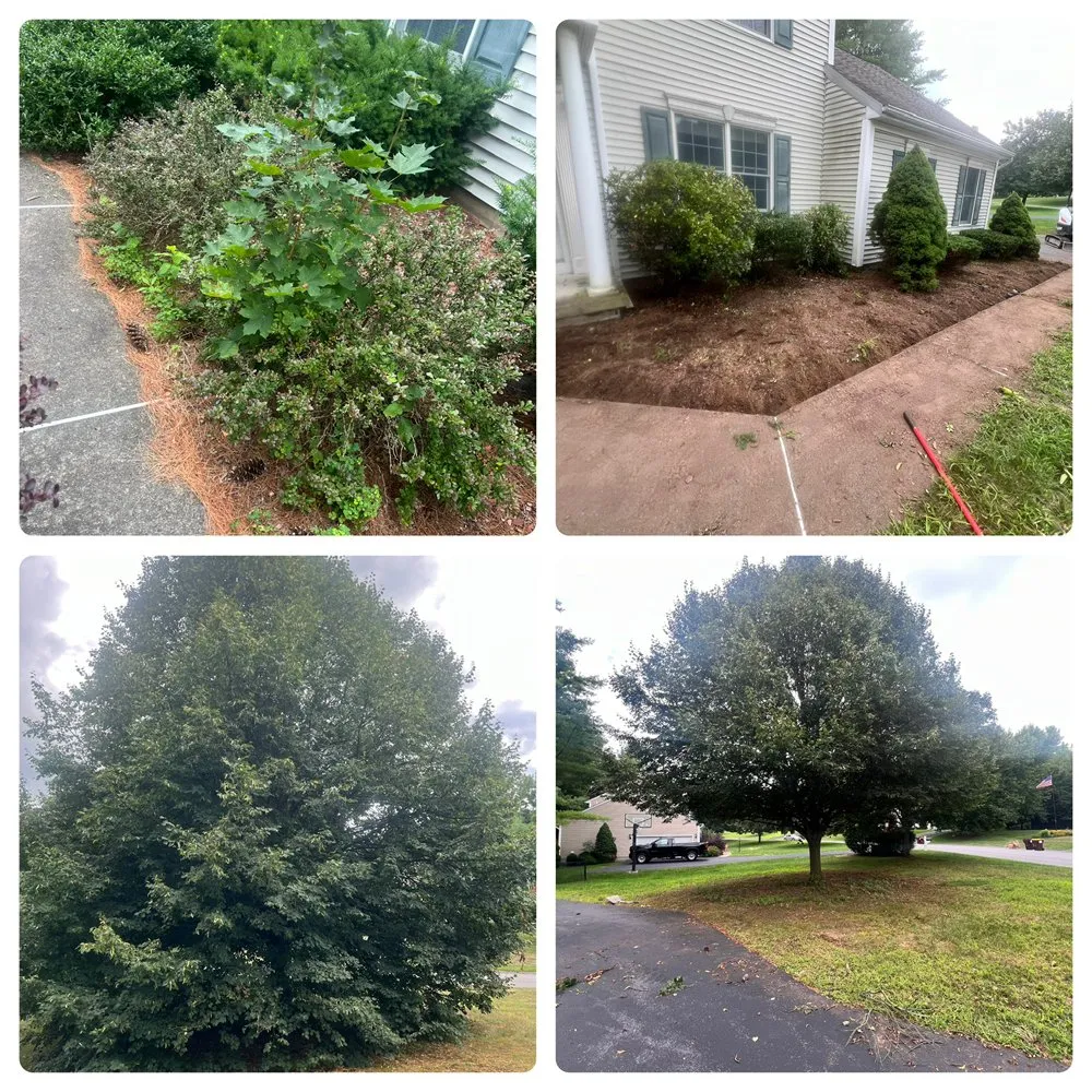 Trusted lawn mowing service for residential properties across Hagaman, NY - Precision Cuts Lawn & Garden