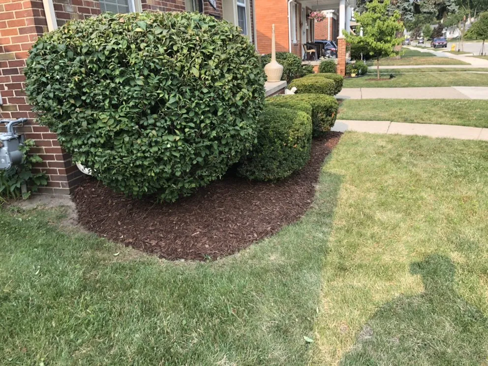 Affordable yard maintenance near you across Plymouth, MI - Precision Cuts Lawn And Landscaping