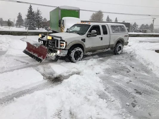 Precision Cuts Lawn And Landscaping Logo