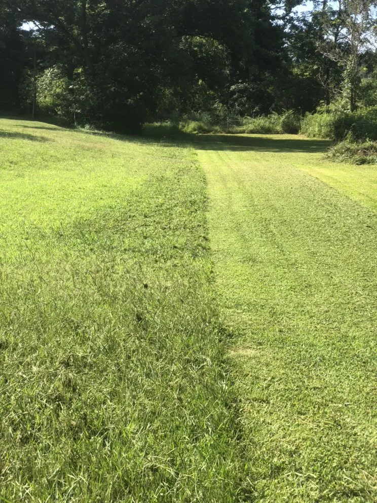 Top-rated landscape installation for beautiful yards across Oxford, NC - Precision cuts