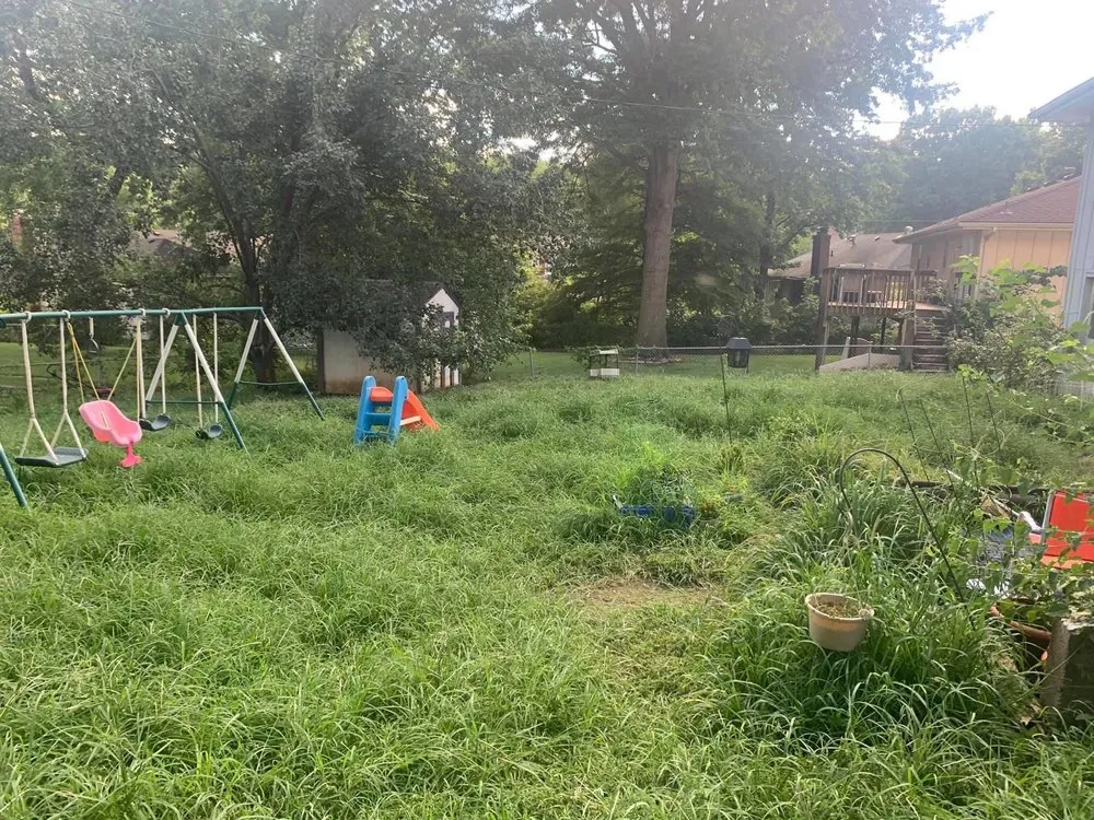 Reliable lawn mowing service in Kansas City, MO - Precision Cutt Lawn Care