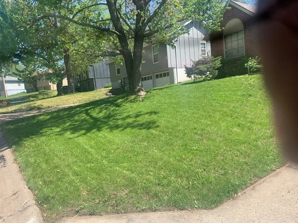 Custom yard cleanup service for residential properties across Kansas City, MO - Precision Cutt Lawn Care