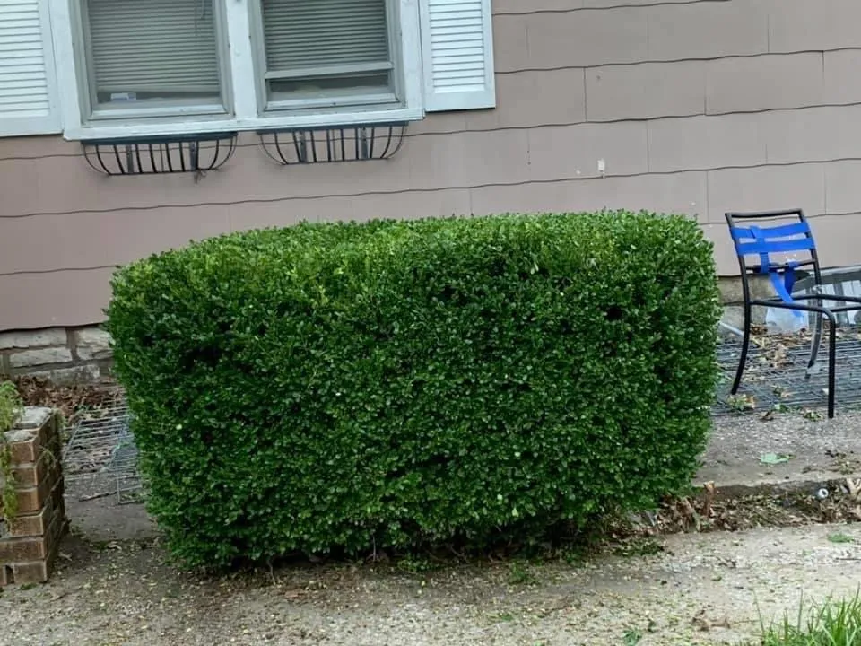 Custom garden landscaping for beautiful yards across Kansas City, MO - Precision Cutt Lawn Care