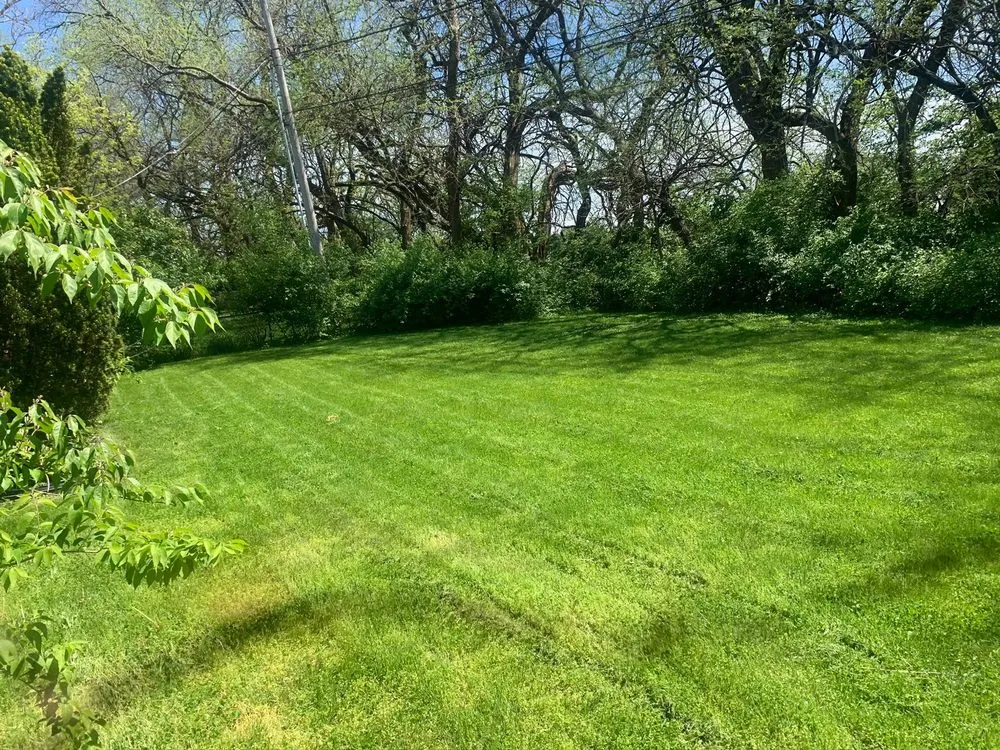 Professional yard cleanup service in Kansas City, MO - Precision Cutt Lawn Care