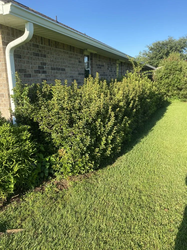 Affordable landscape design for year-round maintenance in Foley, AL by Precision Cutters Landscaping