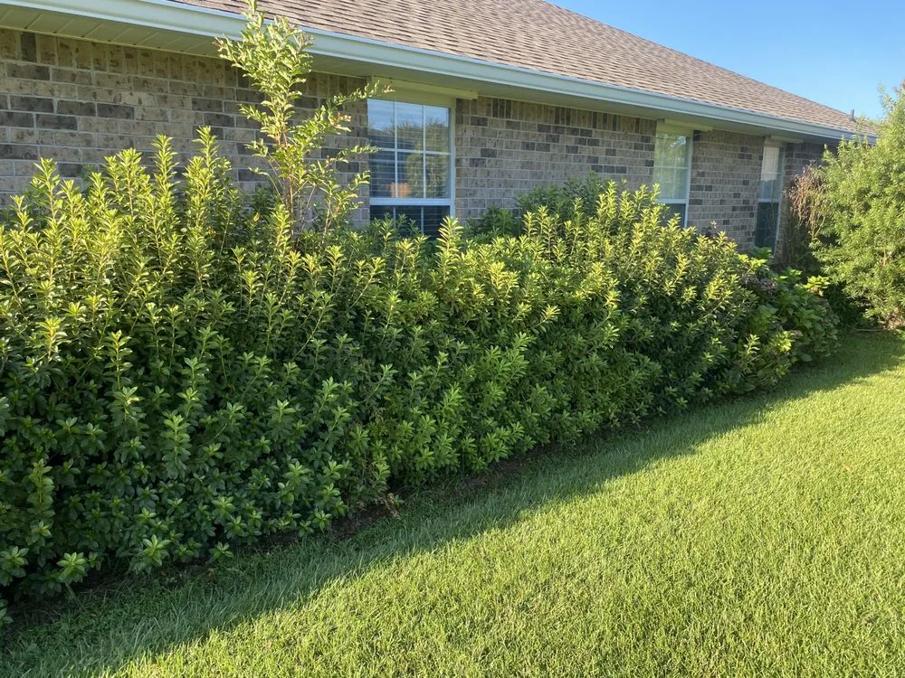 Affordable garden landscaping for residential properties in Foley, AL by Precision Cutters Landscaping