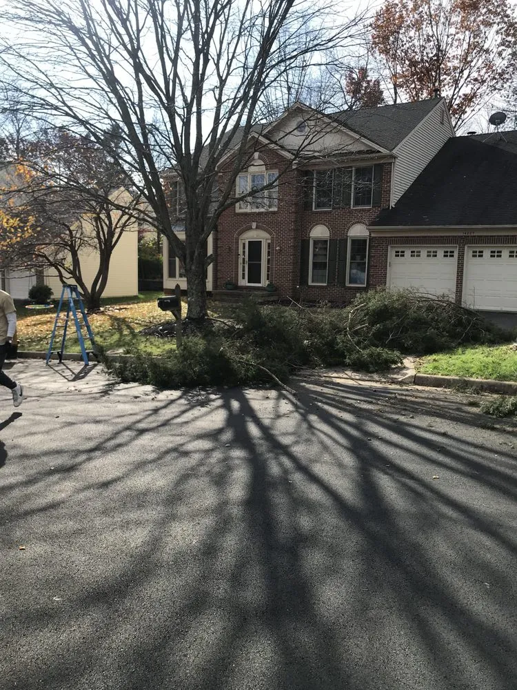 Custom landscaping services with custom design across Manassas, VA - Precision Cutting N Services