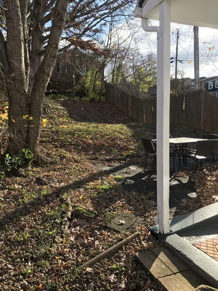 Trusted yard maintenance in Manassas, VA by Precision Cutting N Services