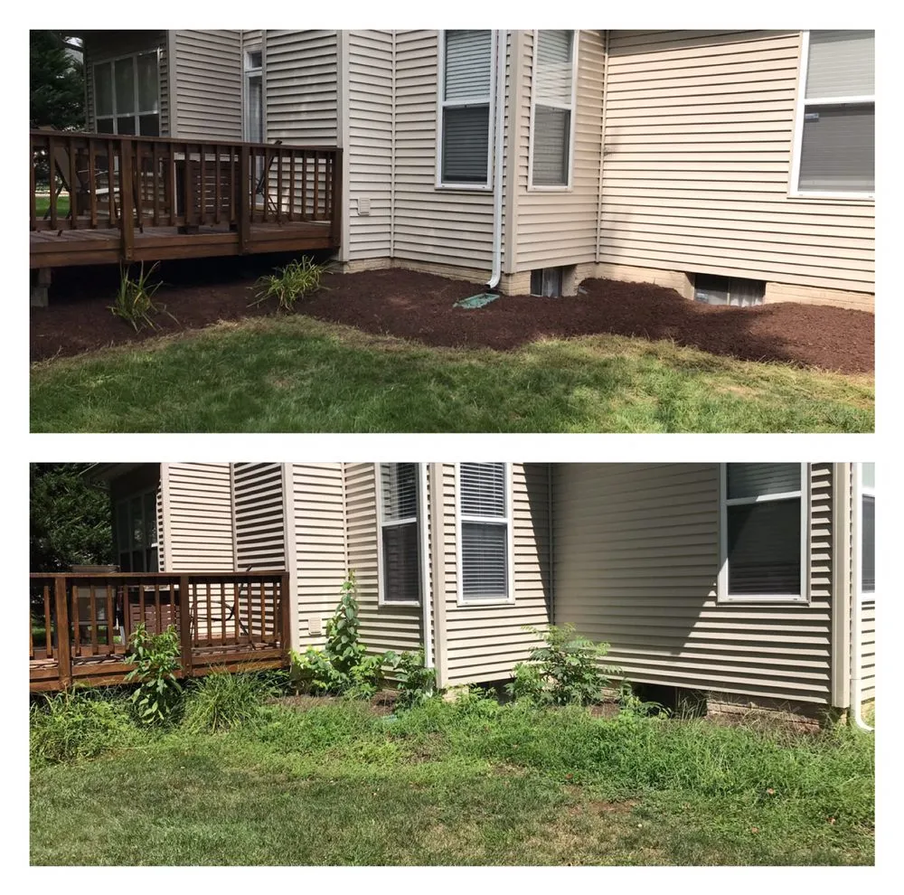 Professional yard maintenance in Manassas, VA - Precision Cutting N Services