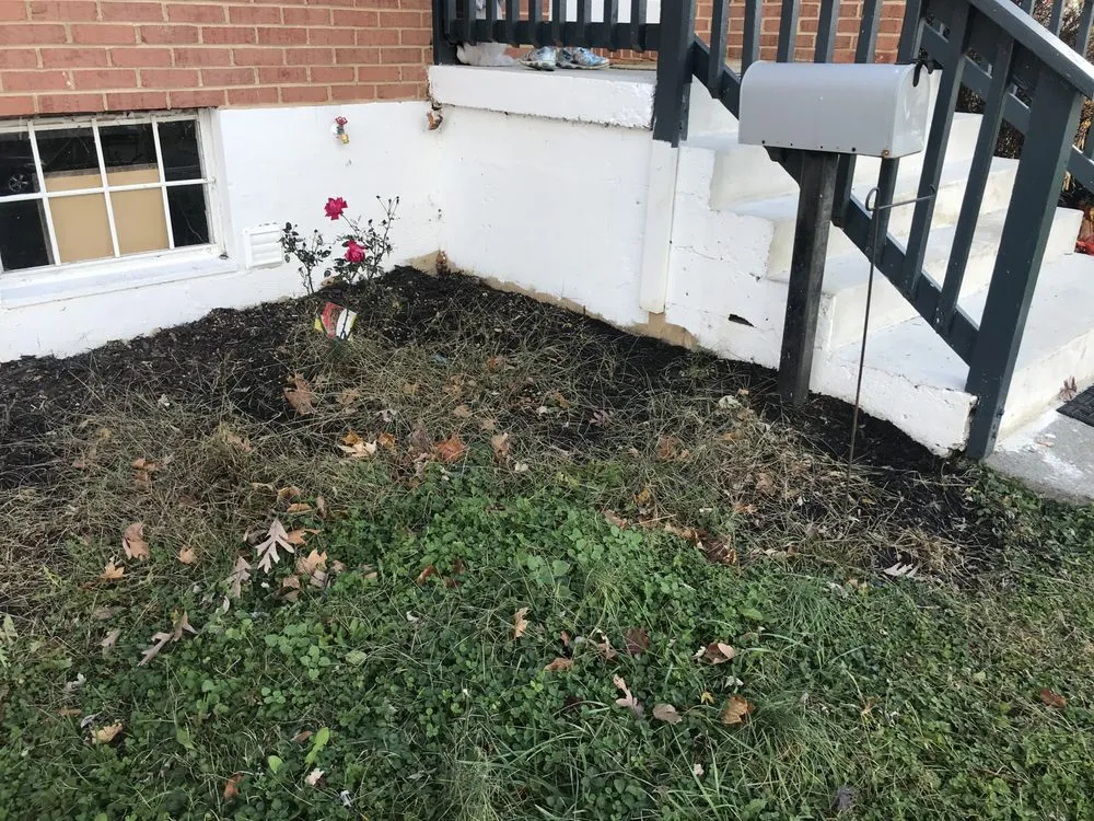 Affordable yard maintenance in Manassas, VA by Precision Cutting N Services