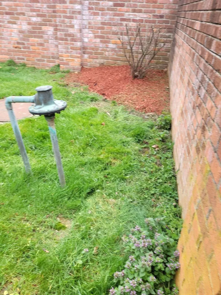 Professional garden landscaping in Carmel, IN - Precision Cutz Lawn Care