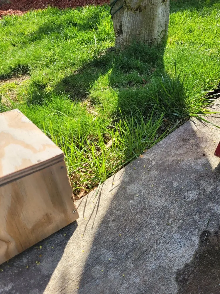 Custom yard maintenance experts serving Carmel, IN - Precision Cutz Lawn Care