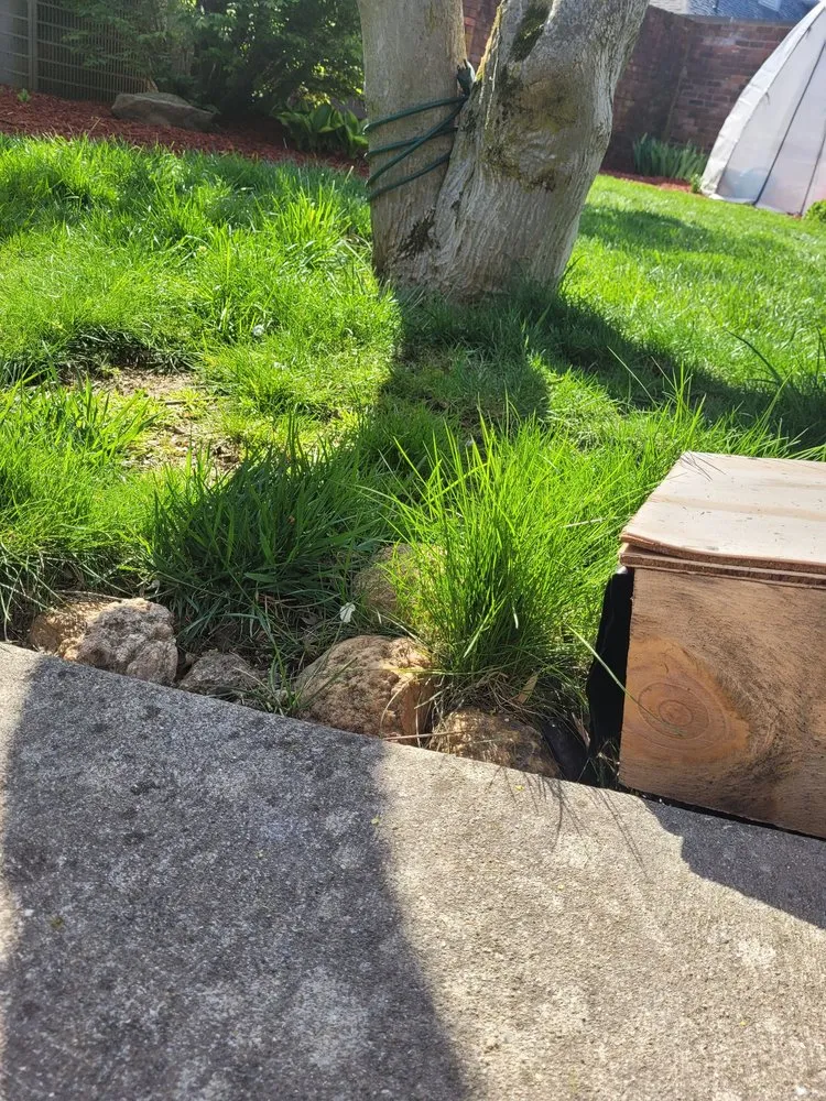 Affordable lawn mowing service near you in Carmel, IN by Precision Cutz Lawn Care