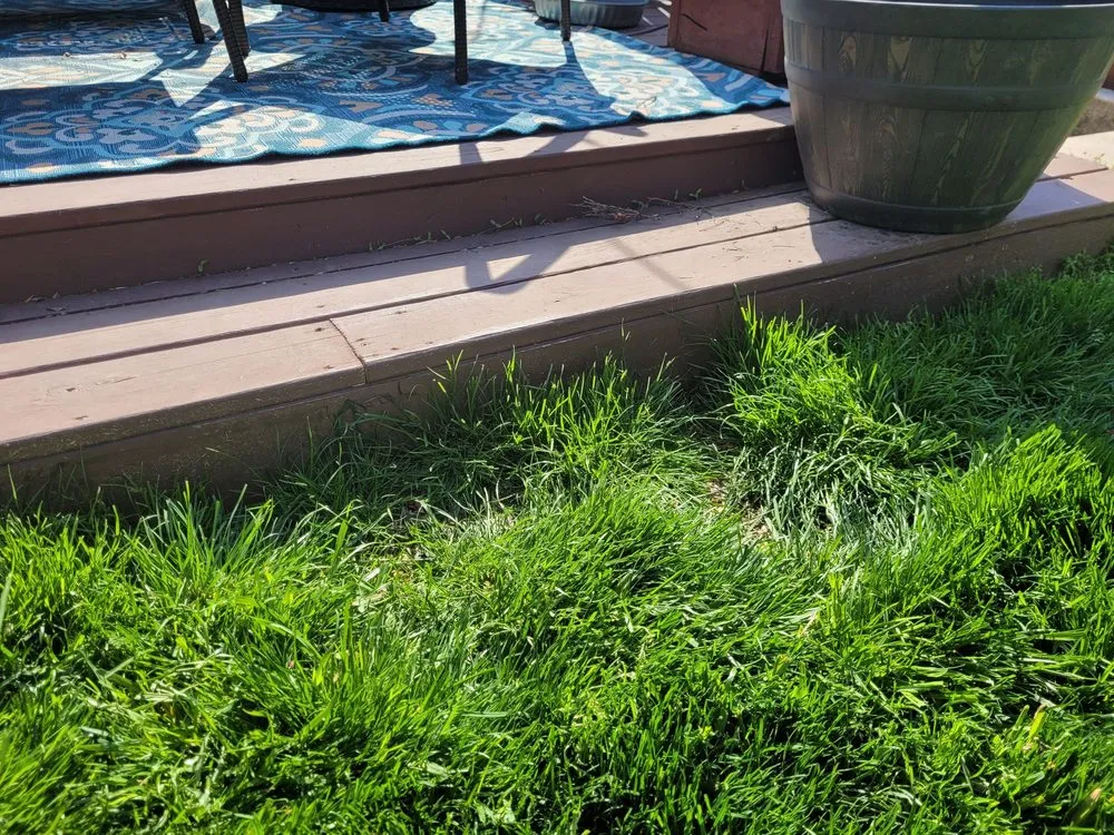 Reliable landscape design near you in Carmel, IN by Precision Cutz Lawn Care