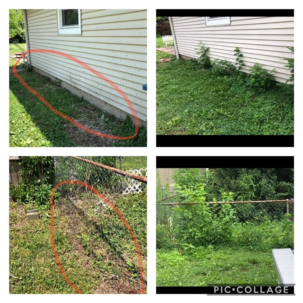 Professional residential landscaping for homes in Carmel, IN by Precision Cutz Lawn Care