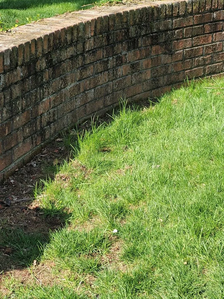 Reliable landscape installation experts serving Carmel, IN - Precision Cutz Lawn Care