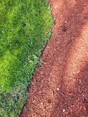 Precision Cutz Lawn Care Logo