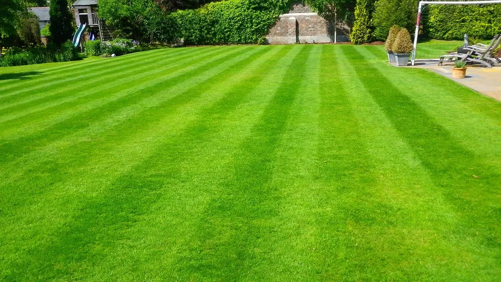 Top-rated lawn care service with custom design across San Antonio, TX - Precision Cutz LS
