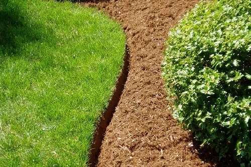 Local landscape installation for residential properties across San Antonio, TX - Precision Cutz LS