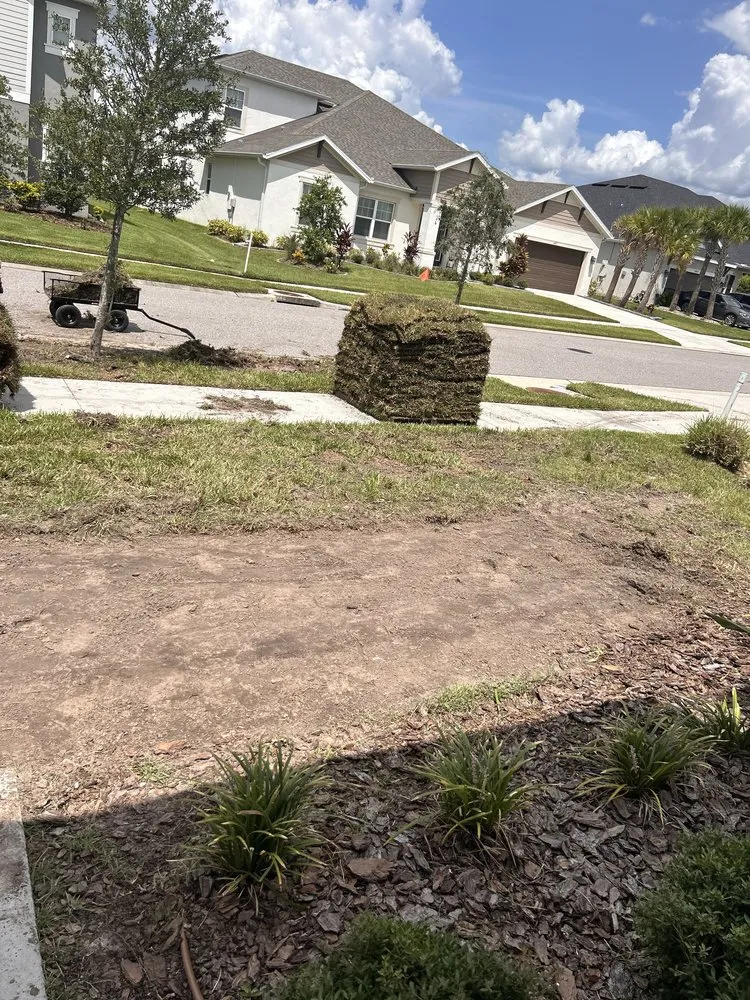 Reliable yard maintenance in Land O' Lakes, FL - Precision Cutzz Landscaping Service