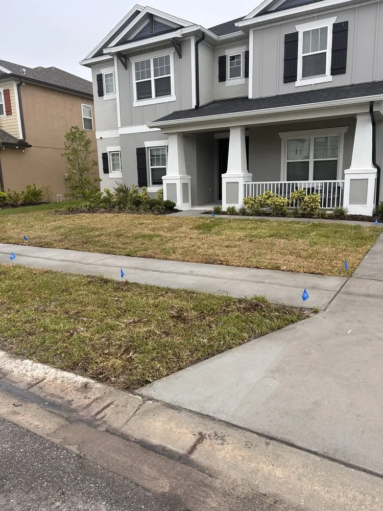 Reliable yard cleanup service for year-round maintenance in Land O' Lakes, FL by Precision Cutzz Landscaping Service