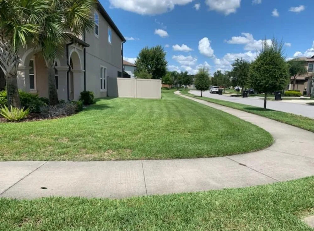 Custom residential landscaping for outdoor upgrades across Land O' Lakes, FL - Precision Cutzz Landscaping Service